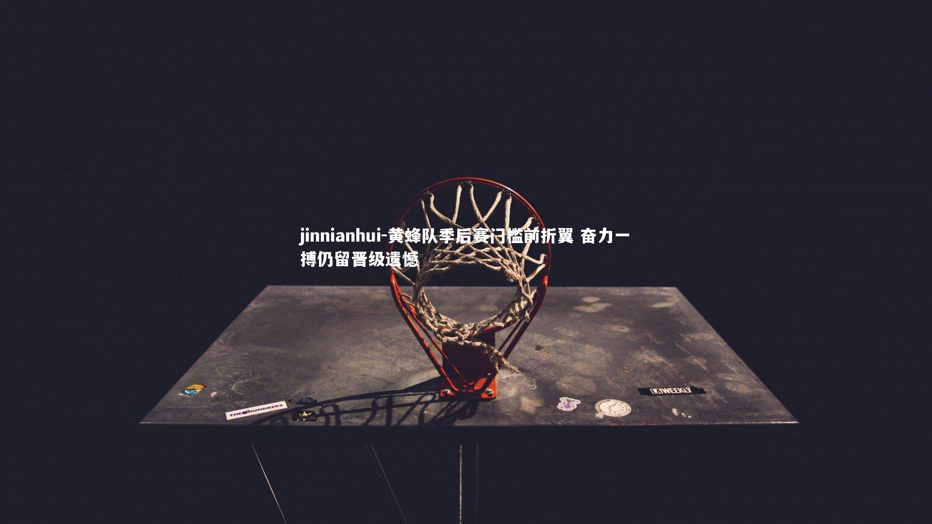 jinnianhui-黄蜂队季后赛门槛前折翼 奋力一搏仍留晋级遗憾